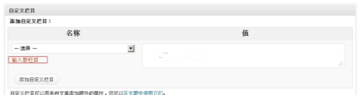 WordPress 自定义字段 自定义域的使用方法-1号优惠分享网 · 51福利网