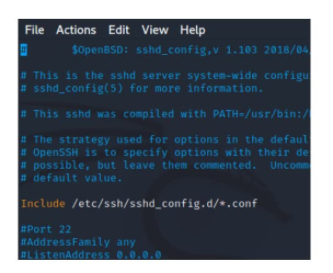 Kali渗透实战训练营（一）入门系列 - 1号优惠分享网 · 51福利网