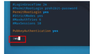 Kali渗透实战训练营（一）入门系列 - 1号优惠分享网 · 51福利网
