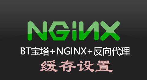 BT宝塔Nginx反向代理导致WordPress登陆问题/缓存设置/缓存目录设置介绍-1号优惠分享网 · 51福利网