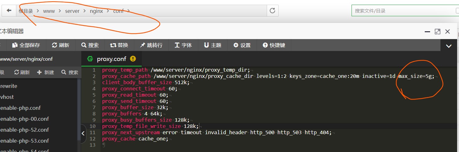 BT宝塔Nginx反向代理导致WordPress登陆问题/缓存设置/缓存目录设置介绍 - 1号优惠分享网 · 51福利网